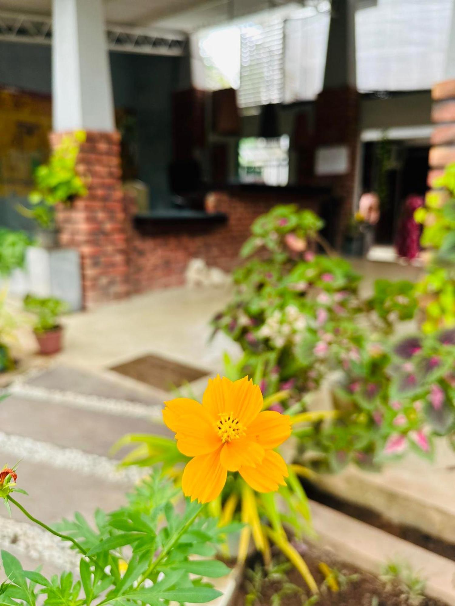 Lanka Bangla Inn Villas Restaurant & Travels Katunayaka Екстериор снимка